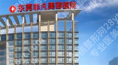 东莞非凡美容医院是三甲医院吗？医院详情介绍，一键查看案例