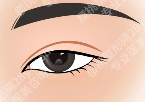 上海许炎龙价格合理吗？内附主打项目及价格参考！