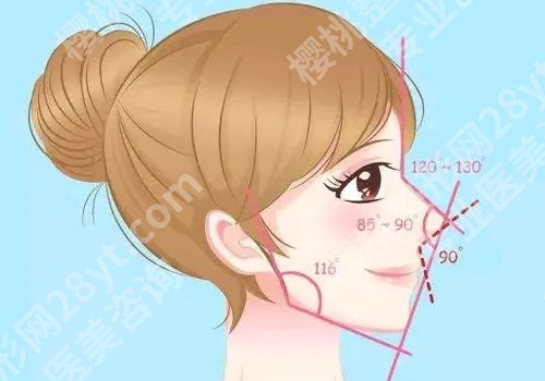 上海纽菲思医疗美容门诊部假体隆鼻价格是多少?内附详细介绍!