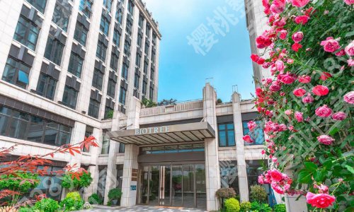 上海生命树医疗美容割双眼皮价格贵吗？医院核心优势有哪些？