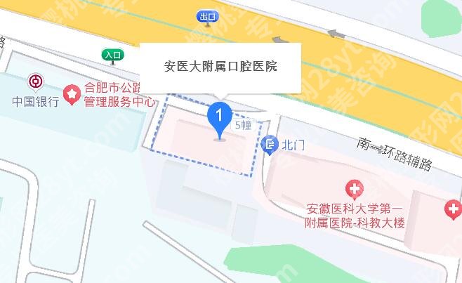 安医附属口腔医院补牙价格表2024发布！项目优势剖析！