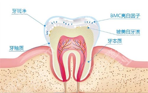 中科领军(北京)口腔医院简介，核心项目介绍