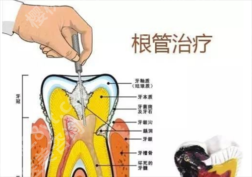 北京诚之康口腔正规吗？医院详情介绍，口碑在线