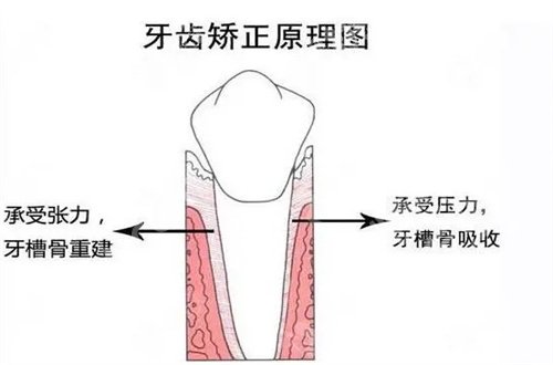 北京瑞冠口腔门诊部怎么样？核心技术带你了解
