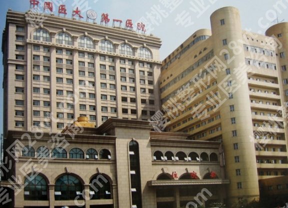 沈阳医大一院点阵激光价钱多少？坐诊医生及术前面诊流程介绍！