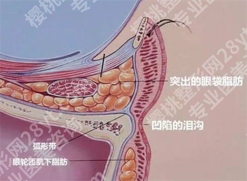 广州丽港丽格医疗美容门诊部怎么样？医院简介，案例查看