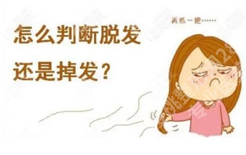 杭州第一人民医院植发案例在线预览！看口碑项目介绍