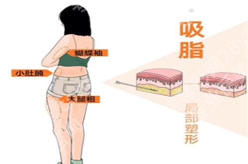 广州美诗沁具体地址在哪？基本信息全新公布了