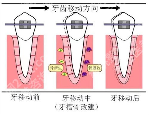 芜湖弋矶山医院牙齿矫正怎么样？医院基本信息