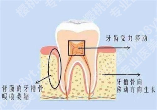 上海新华医院牙齿矫正怎么样？医院+医生简介