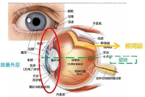 南方医院近视眼手术多少钱？全新价格在线了解