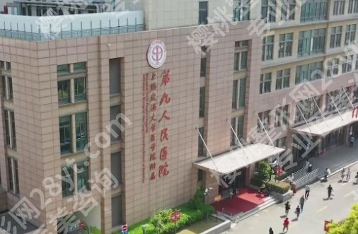 魏皎医生案例分享,一览专家医生的基本信息