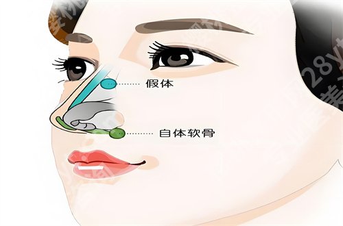 魏皎医生案例分享,一览专家医生的基本信息