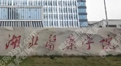 湖南吸脂瘦腿医疗美容医院排名榜公布！各医院明星医生简介！价格表一览！