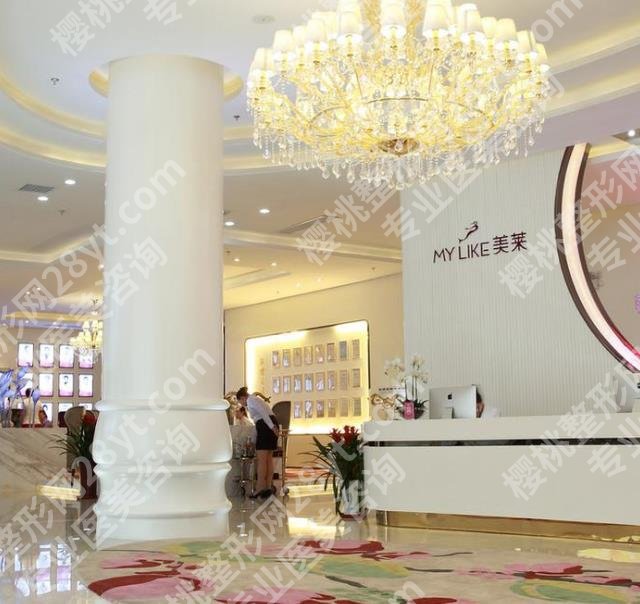 天津美莱卜胜利技术怎么样？明星项目和技术优势反馈
