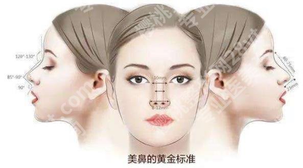 杨斐做鼻子技术怎么样？明星项目和案例反馈
