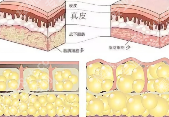 袁斯明医生怎么样？面诊攻略_面诊过程了解下