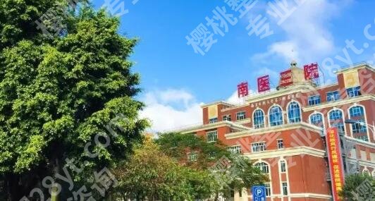 郑志芳鼻子技术好不好？热门项目及技术优势剖析！