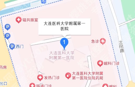 大连医科大学附属第一医院整形科好吗？医生技术实力剖析！值得推荐！