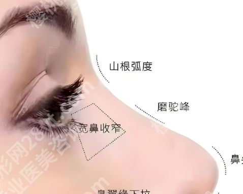 北京刘彦军到底怎么样？附热门医生介绍_面诊攻略分享