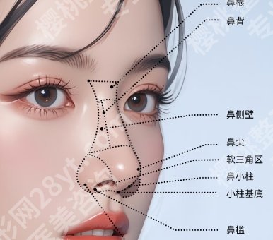 苏州注射隆鼻医院哪家好？紫馨、美莱、美贝尔等5家人气医院等你来选！