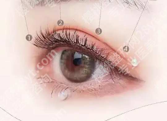 赵成利的简介是什么？含个人信息与案例过程查看