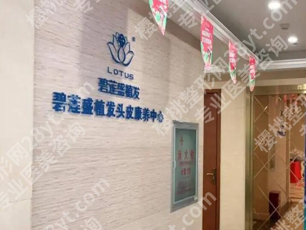 青岛植发好的医院哪个好？top5医院咨询