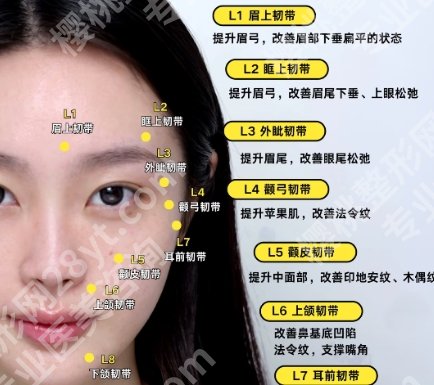 成都画美罗梓琳和何姗姗哪个好?两位医生医生实力评比!