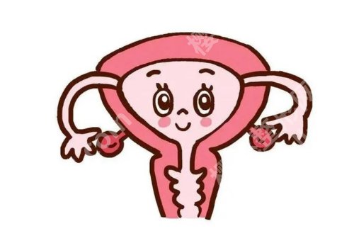 北京张守玲医生简介资料公布！技术沉稳、审美在线！附价格明细