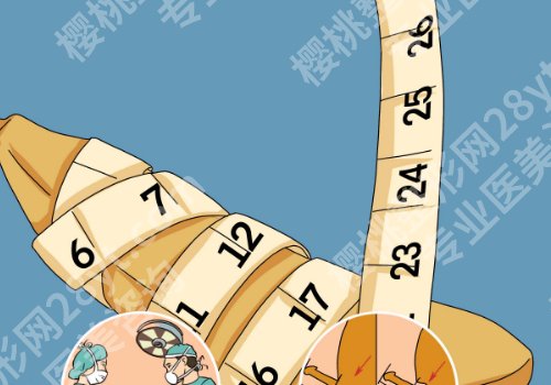 2025大连增长增粗手术需要多少钱？低至10000元起，附各大医院详情！