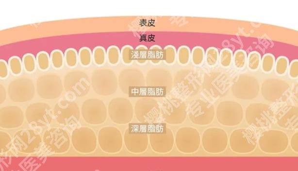 上海九院脂肪修复专家技术好吗？真实的用户口碑介绍！
