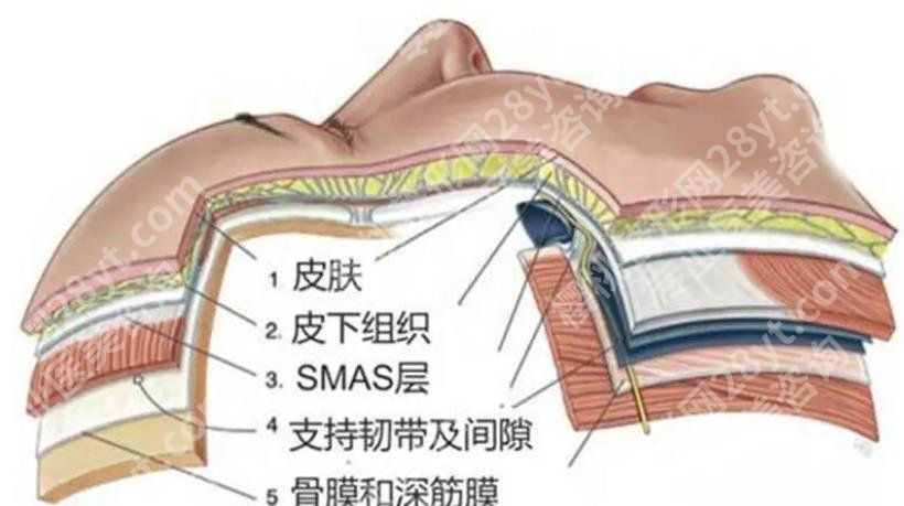 上海长征医院筋膜提升术多少钱？基本信息|一站式掌握