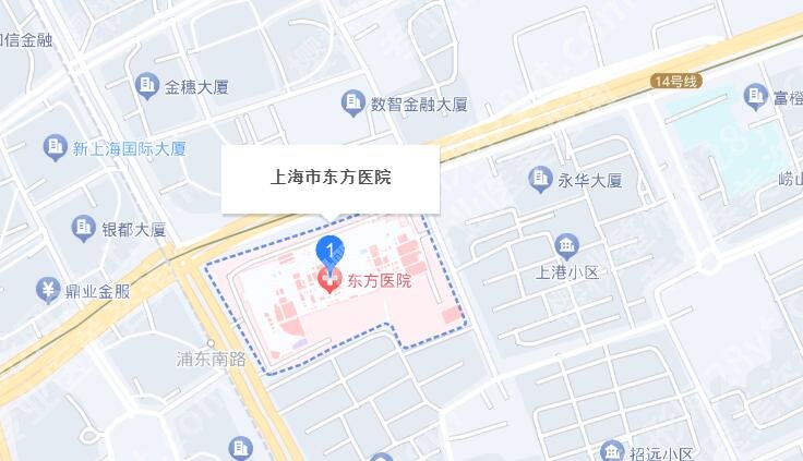 上海东方医院丰胸手术费用贵吗？收费明细参考！戳进来看