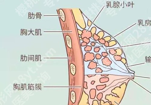 福州附一黄循镭怎么样?医生简介、案例分享!