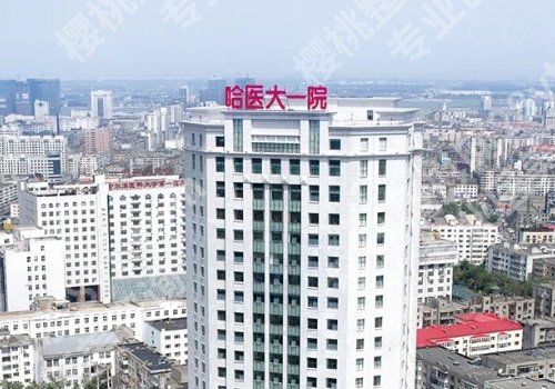 哈尔滨公立整形医院是哪家医院？哈医大一院、哈医大二院、哈医大四院等技术好