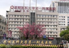 昆明十大整形美容医院排名公布！昆医大一附院、昆医大二附院、第三医院等上榜