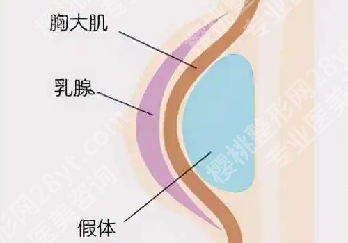 徐法伟医生怎么样？医生技术点评！
