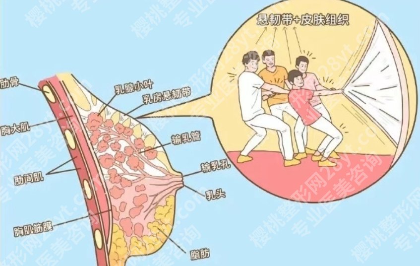 广州黄广香医生怎么联系？医生个人详细资料！擅长项目
