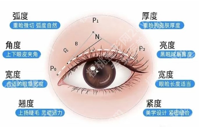 上海邱文苑个人简介资料！医生擅长项目简介！坐诊医院