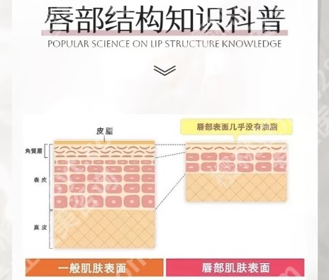 潘柏林医生唇部手术案例分享！医生技术盘点！速速码住