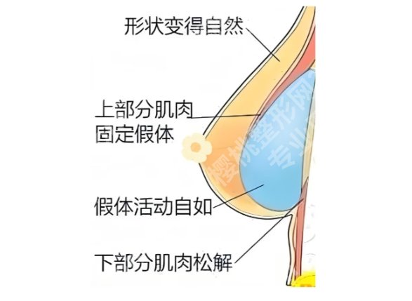 许扬滨医生口碑怎么样？医生技术口碑点评！价格表参考