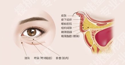 王淑杰医生技术优势很不错！明星项目相关介绍！