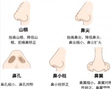 上海九院做鼻修复多少钱？2025年价格26993元起！面诊前必看攻略