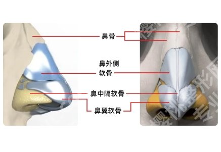 上海九院鼻整形专家排名！分享了医院详细资料！人气医生团队