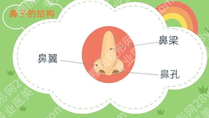 成都邓东伟医生做鼻子怎么样？医生主打项目及价格收费！