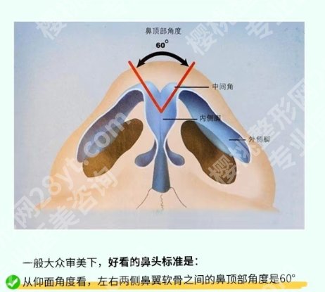 游远榕和张龙谁的鼻子做的好？医生技术精湛|实力靠普！