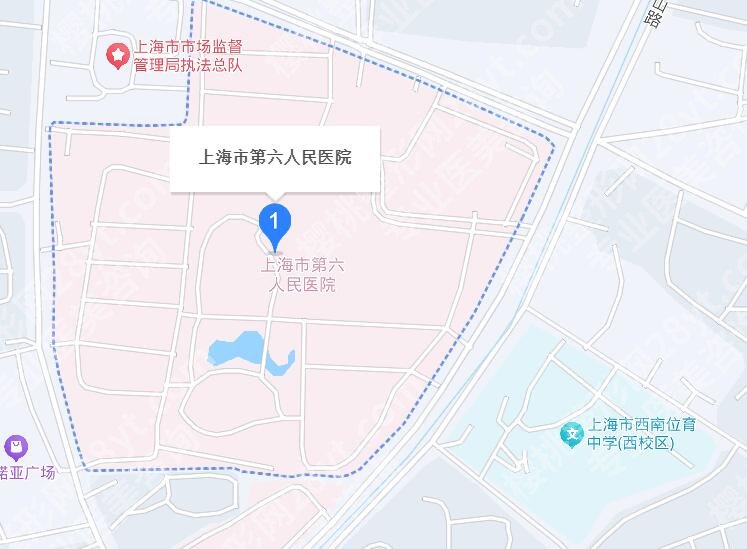 上海六院植发怎么样？医院基本资料|植发案例展示！