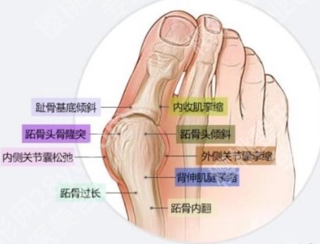 北京苏敬达收费贵不贵？医生技术优势点评！附价格明细