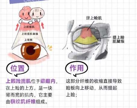 新华医院做双眼皮好吗？附真实顾客点评！