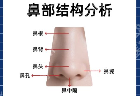 邸红亮做鼻子怎么样？费用7500元左右起！医生案例分享